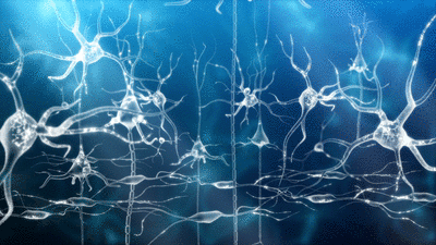 brainActivityFlyThru